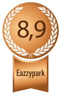 eindhoven bronze eazzypark